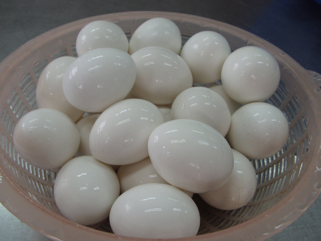 흰 계란.jpg
